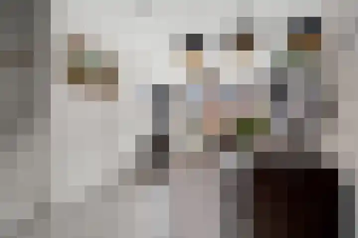 De Haak 10 Zegveld thumbnail 8