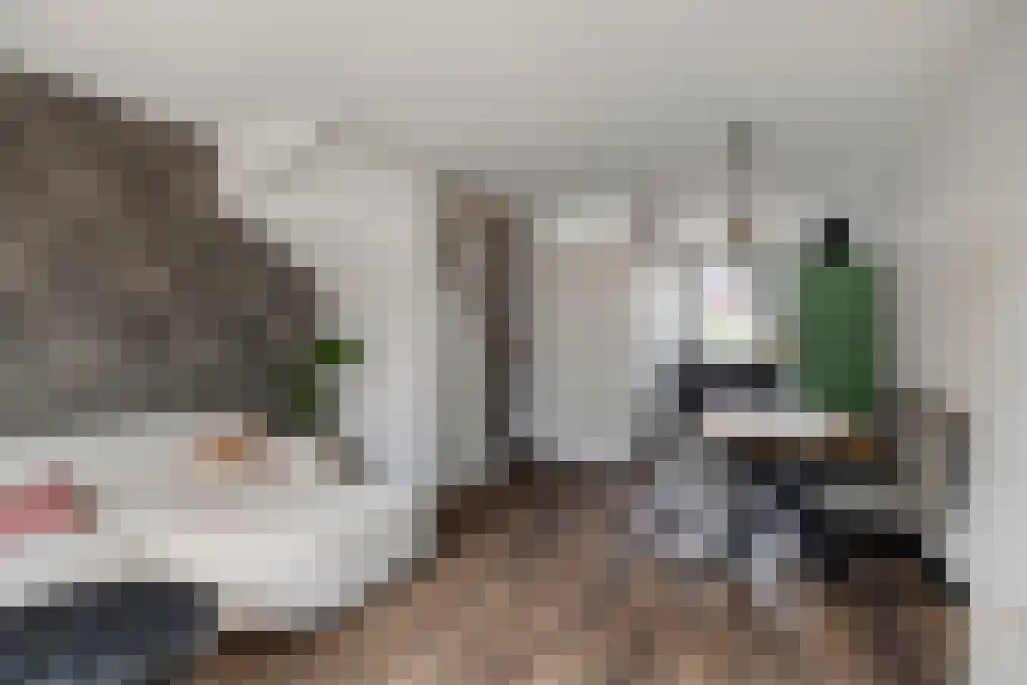 De Haak 8 Zegveld thumbnail 10