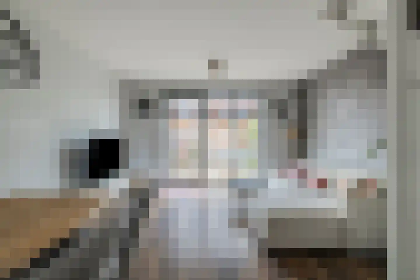 De Haak 8 Zegveld foto 2