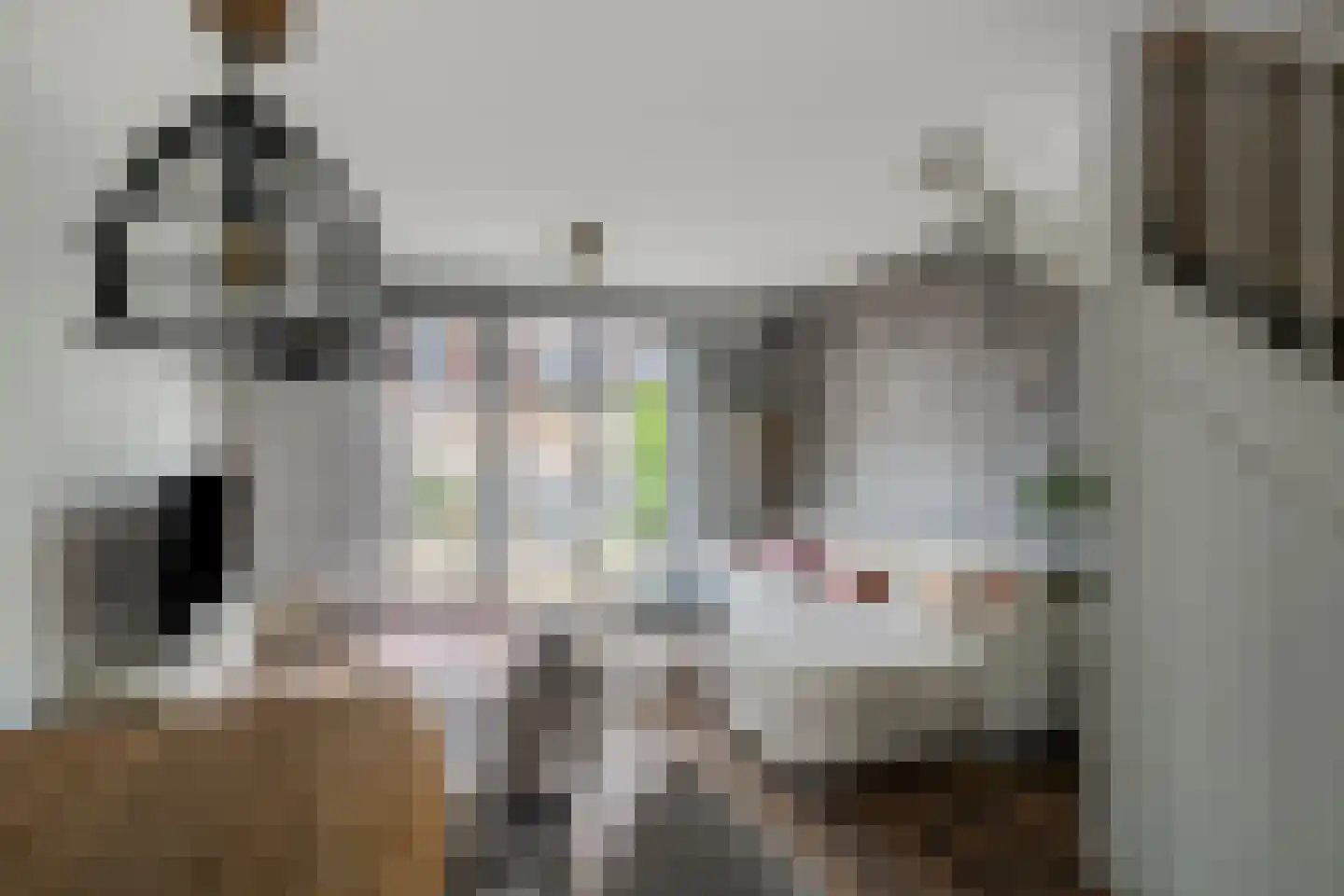De Haak 8 Zegveld thumbnail 8