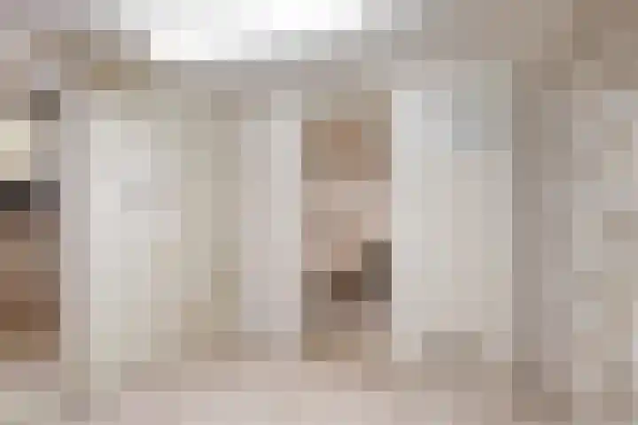 De Haal 123 Oostzaan thumbnail 11