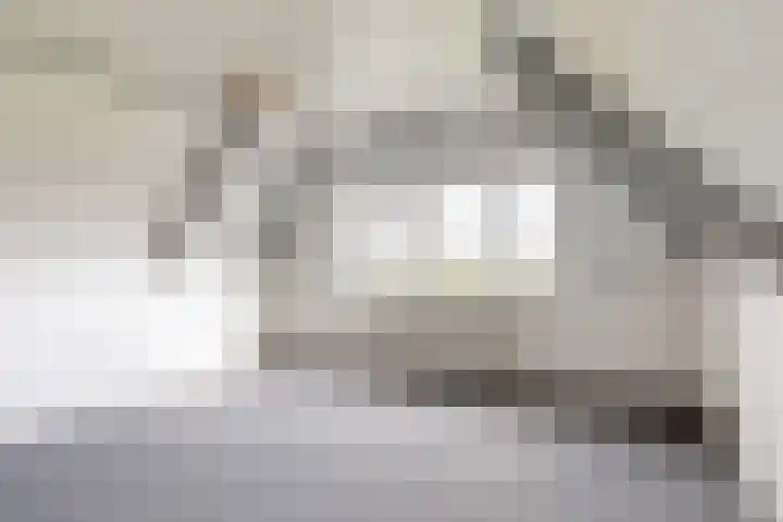 De Haal 123 Oostzaan thumbnail 17
