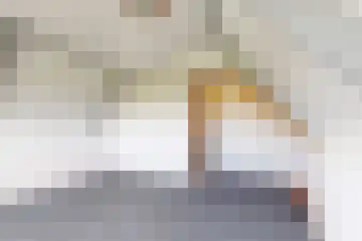De Haal 123 Oostzaan thumbnail 18