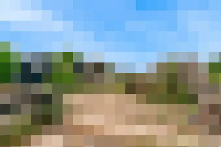 De Haal 123 Oostzaan thumbnail 22