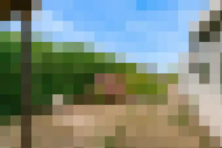 De Haal 123 Oostzaan thumbnail 23