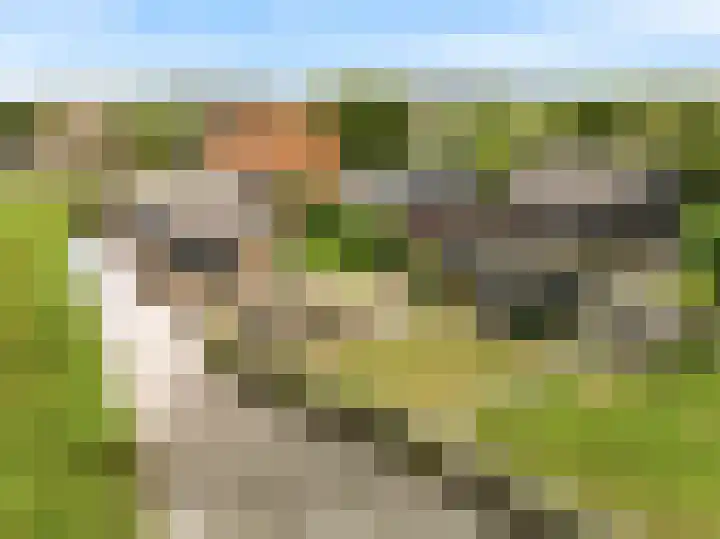 De Haal 123 Oostzaan thumbnail 27