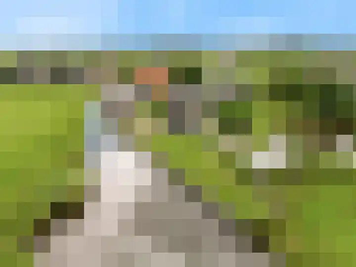 De Haal 123 Oostzaan thumbnail 30