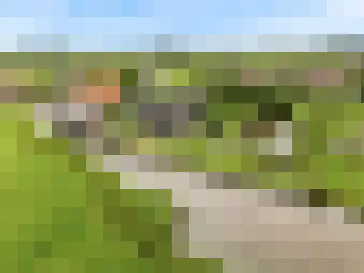 De Haal 123 Oostzaan thumbnail 31