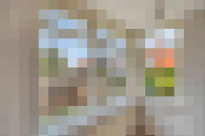 De Haal 3 a Oostzaan thumbnail 10