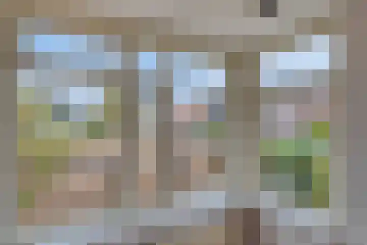De Haal 3 a Oostzaan thumbnail 12