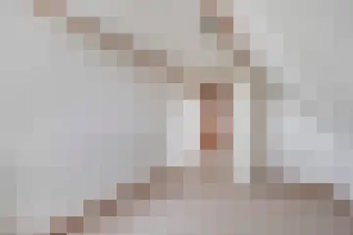 De Haal 3 a Oostzaan thumbnail 25