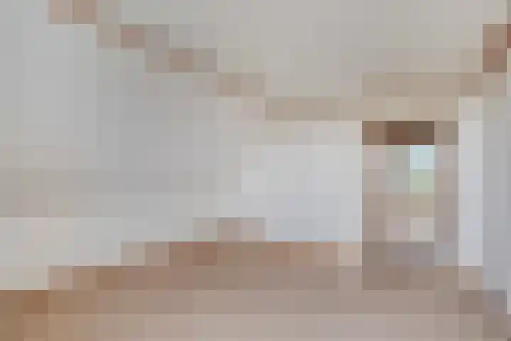 De Haal 3 a Oostzaan thumbnail 26