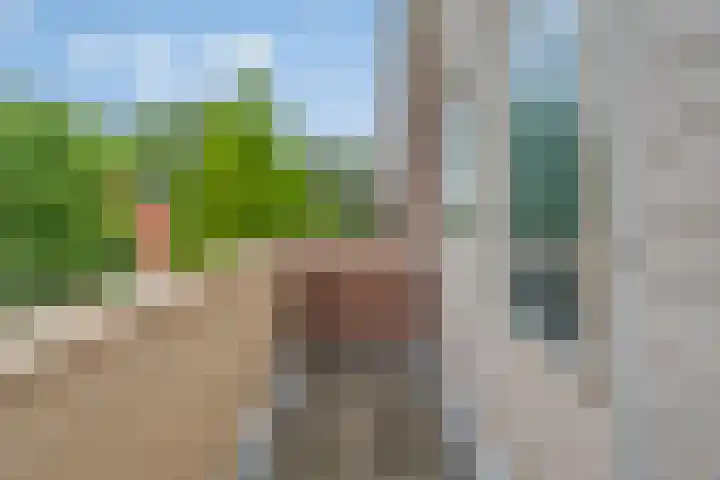 De Haal 3 a Oostzaan thumbnail 28