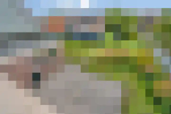De Haal 3 a Oostzaan thumbnail 29