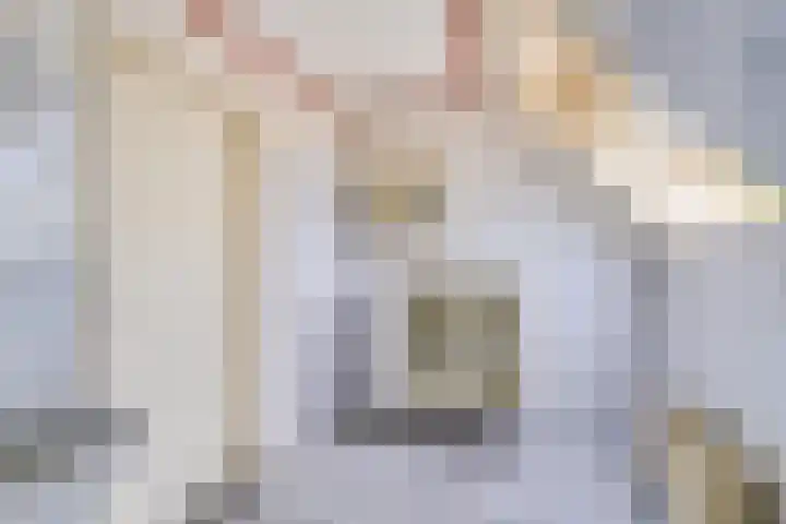 De Haal 3 a Oostzaan thumbnail 30