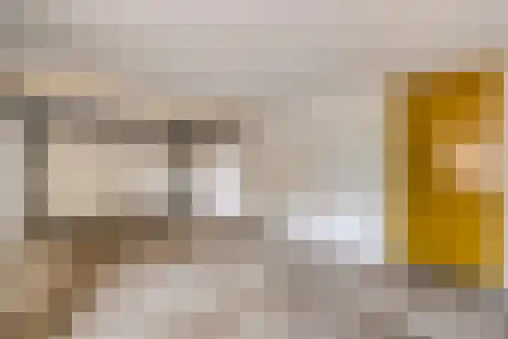 De Haal 3 a Oostzaan thumbnail 35