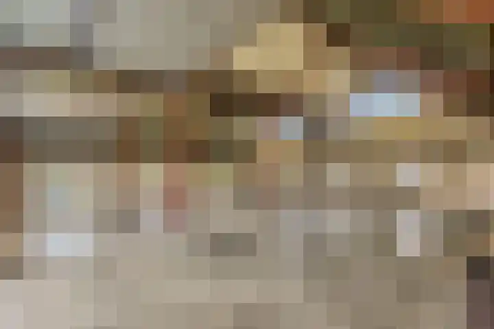 De Haal 3 a Oostzaan thumbnail 39