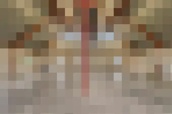 De Haal 3 a Oostzaan thumbnail 40