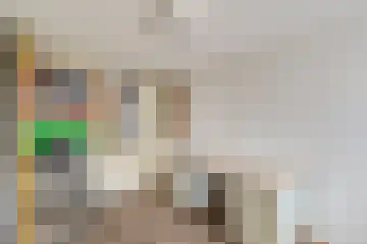 De Haal 3 a Oostzaan thumbnail 44
