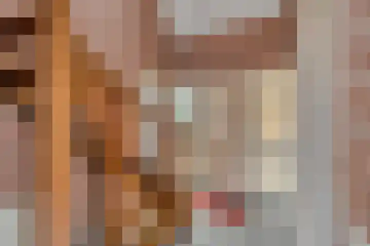 De Haal 3 a Oostzaan thumbnail 5