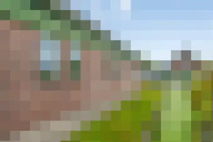 De Haal 3 a Oostzaan thumbnail 54