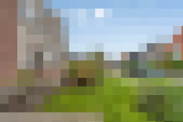 De Haal 3 a Oostzaan thumbnail 55