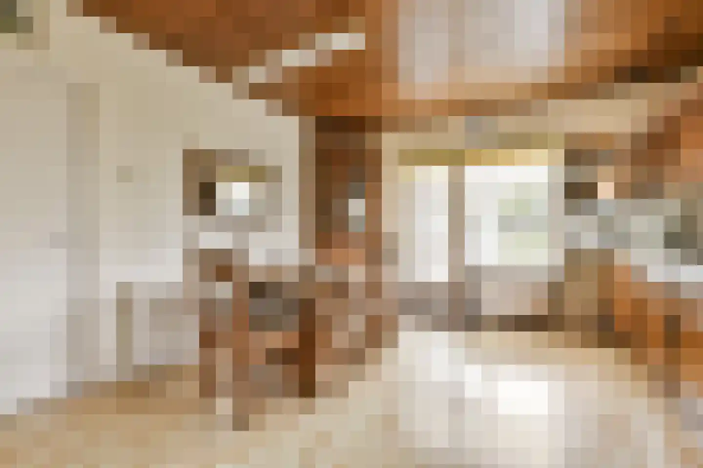 De Haal 54 Oostzaan thumbnail 10