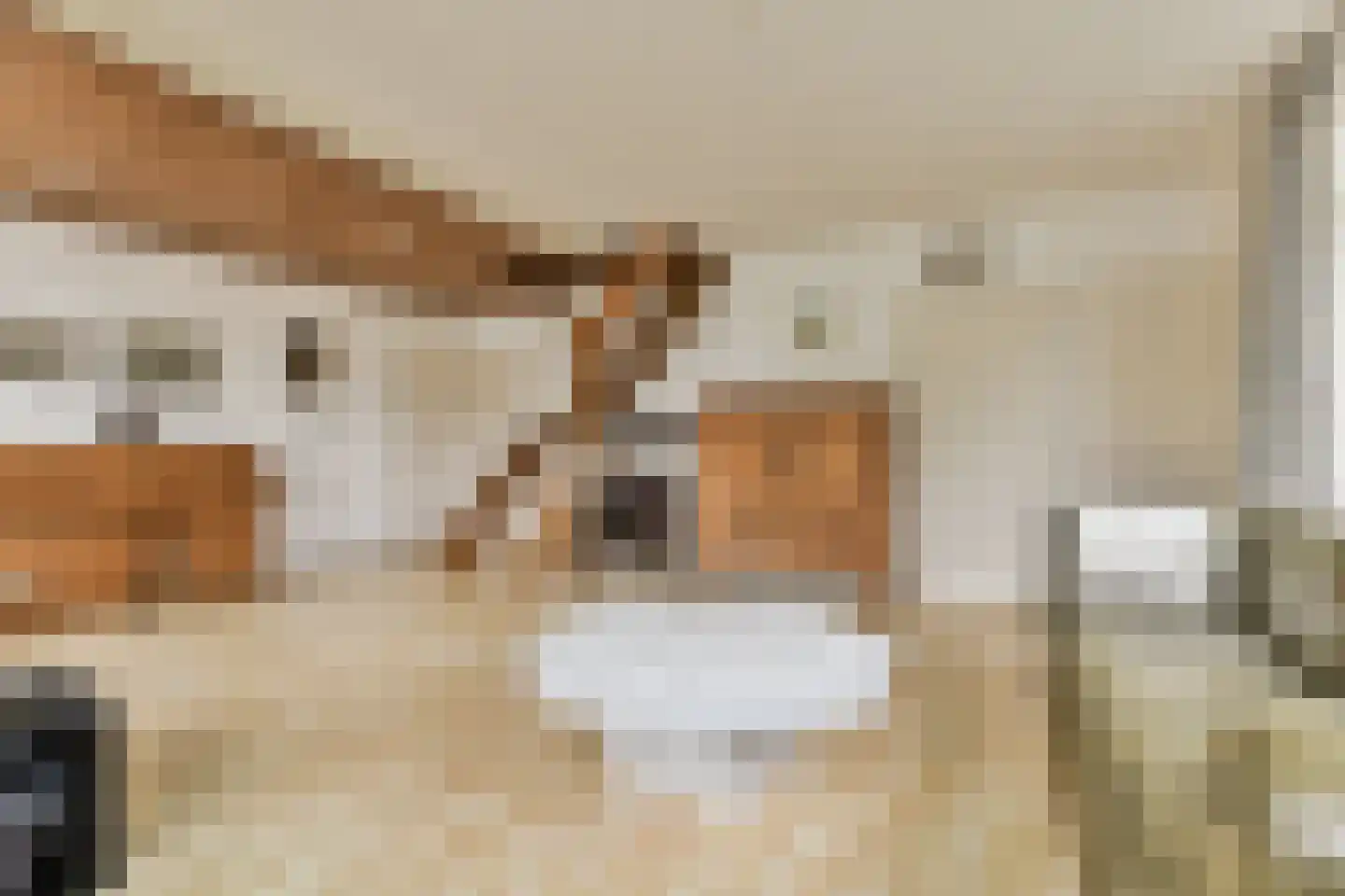 De Haal 54 Oostzaan thumbnail 11