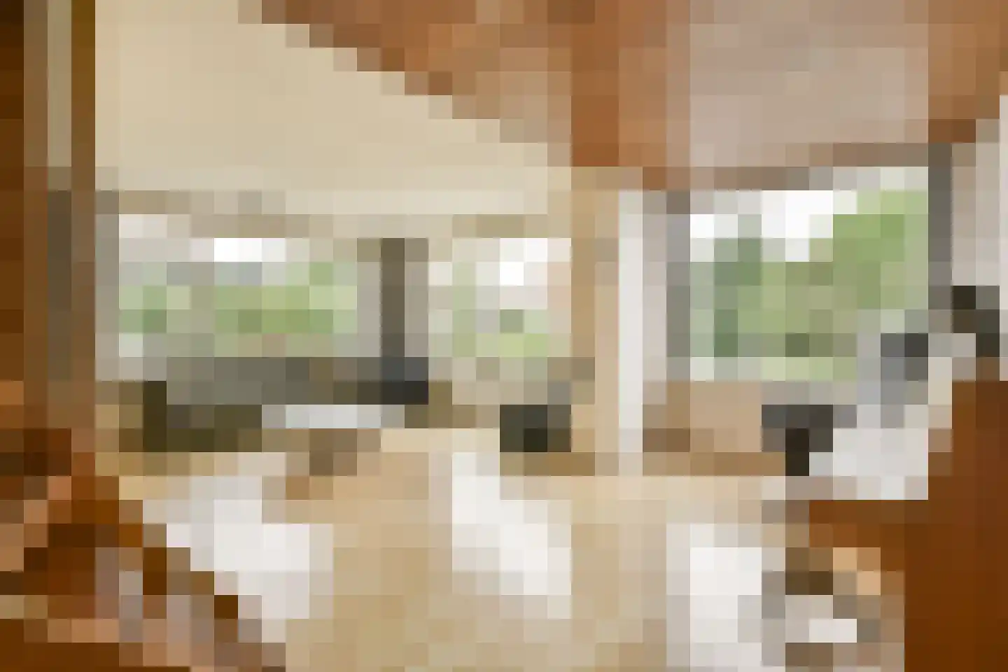 De Haal 54 Oostzaan thumbnail 14