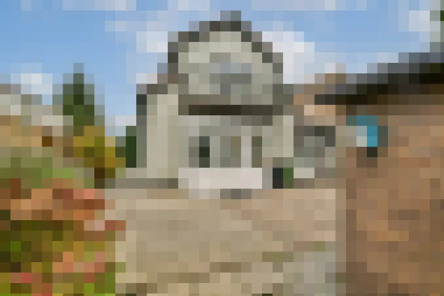 De Haal 54 Oostzaan thumbnail 8