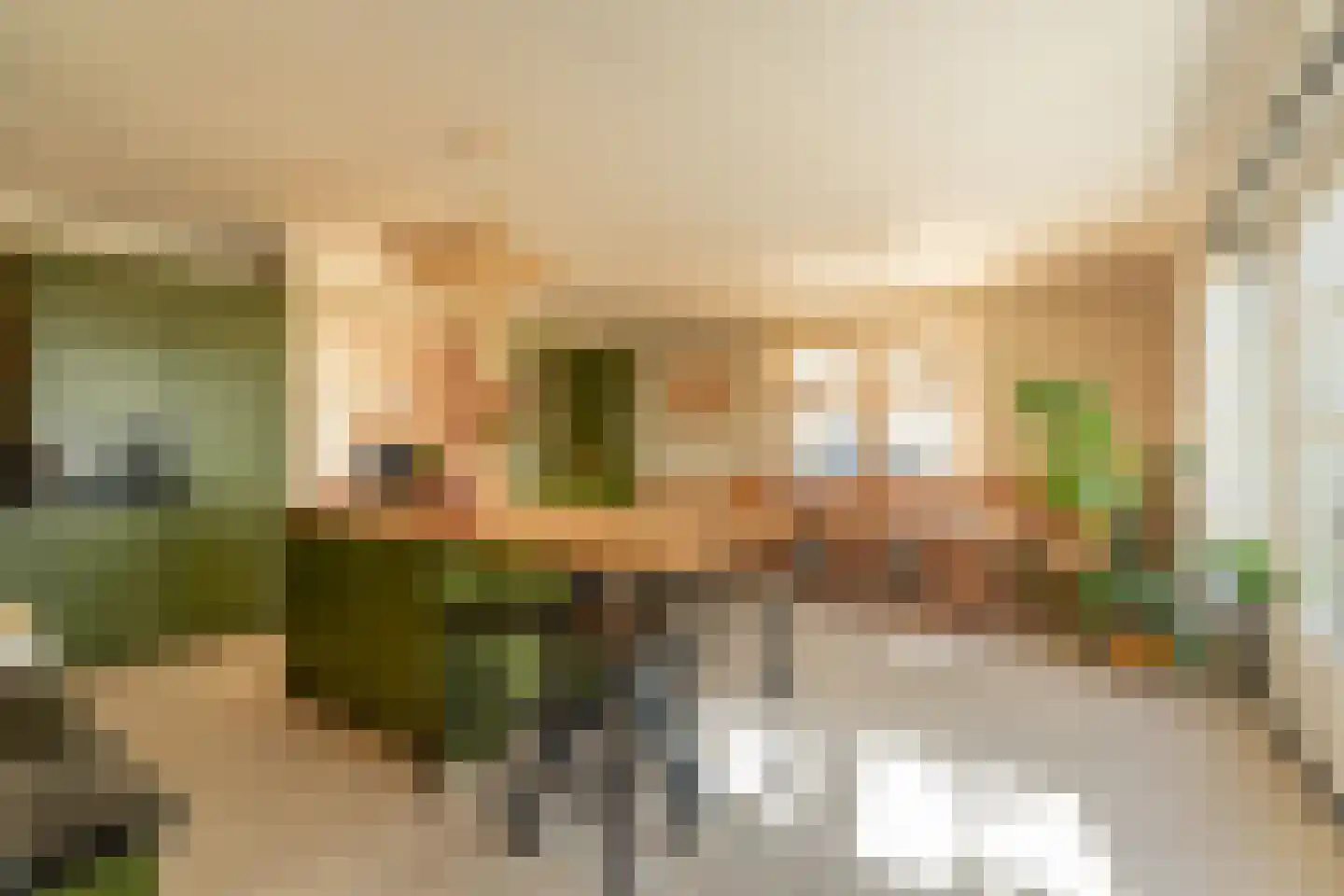 De Haal 73 Oostzaan thumbnail 22
