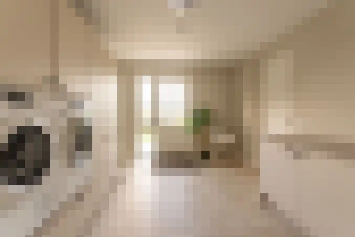 De Haal 73 Oostzaan thumbnail 29