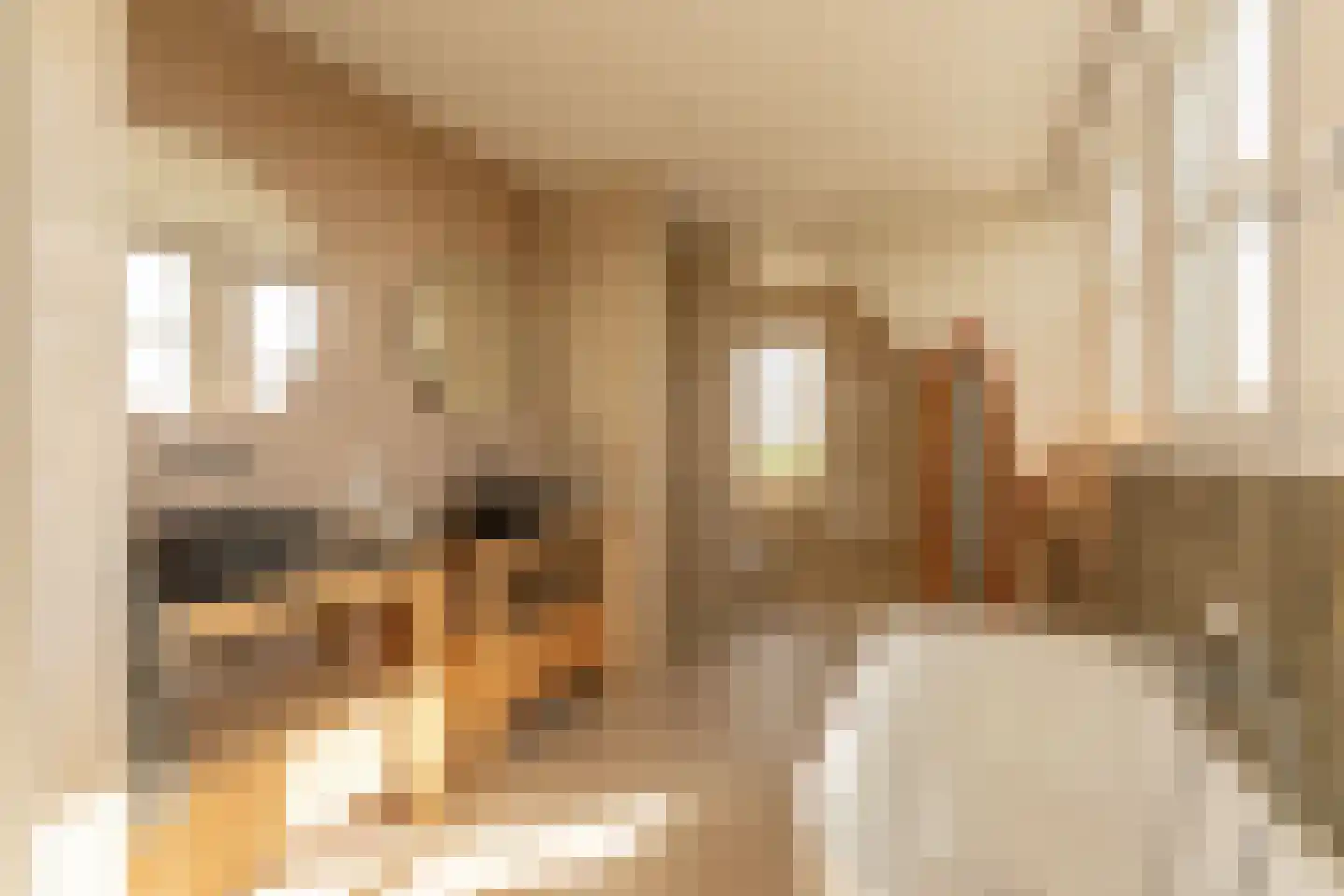 De Haal 73 Oostzaan thumbnail 33