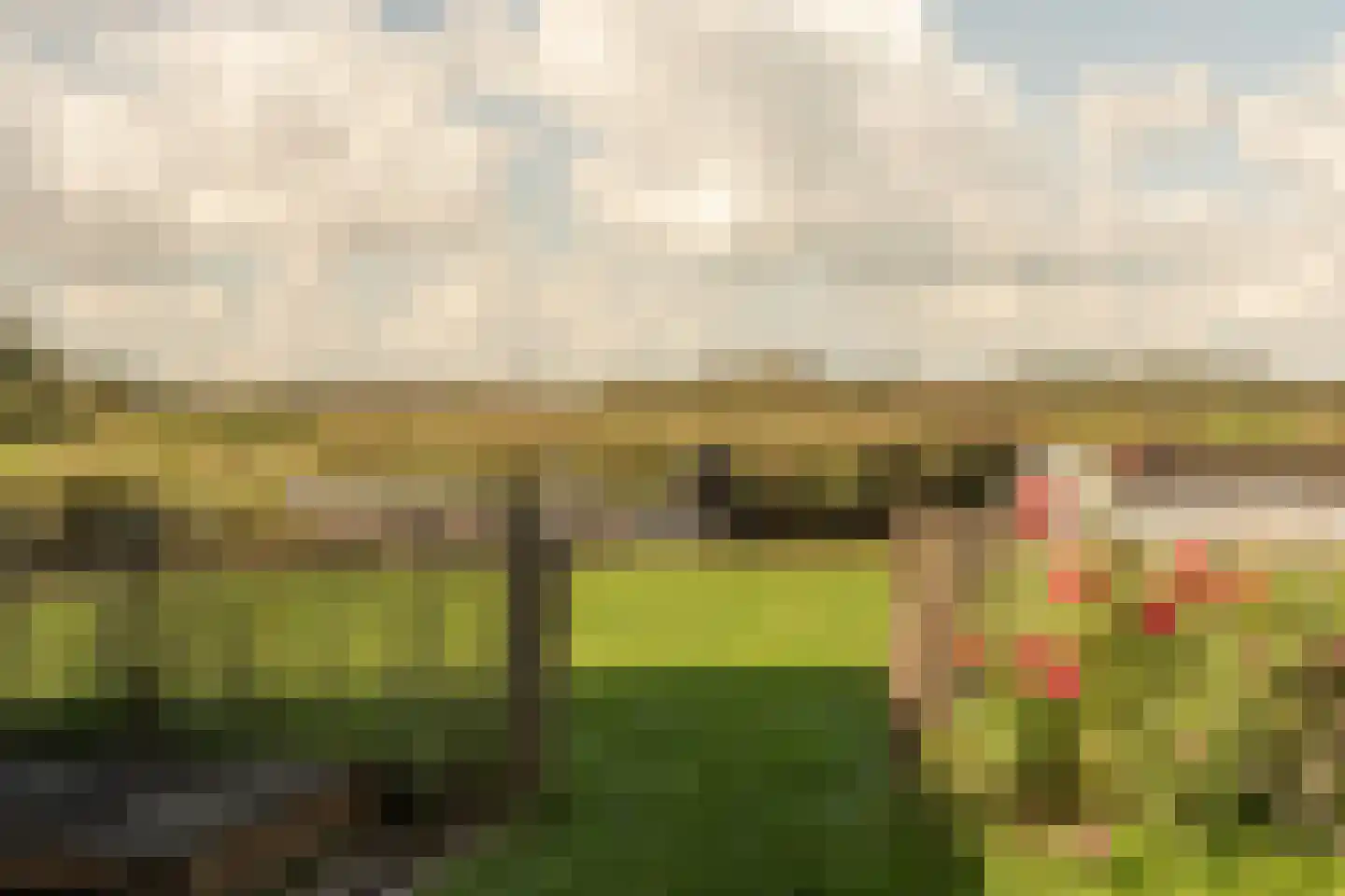 De Haal 73 Oostzaan thumbnail 49