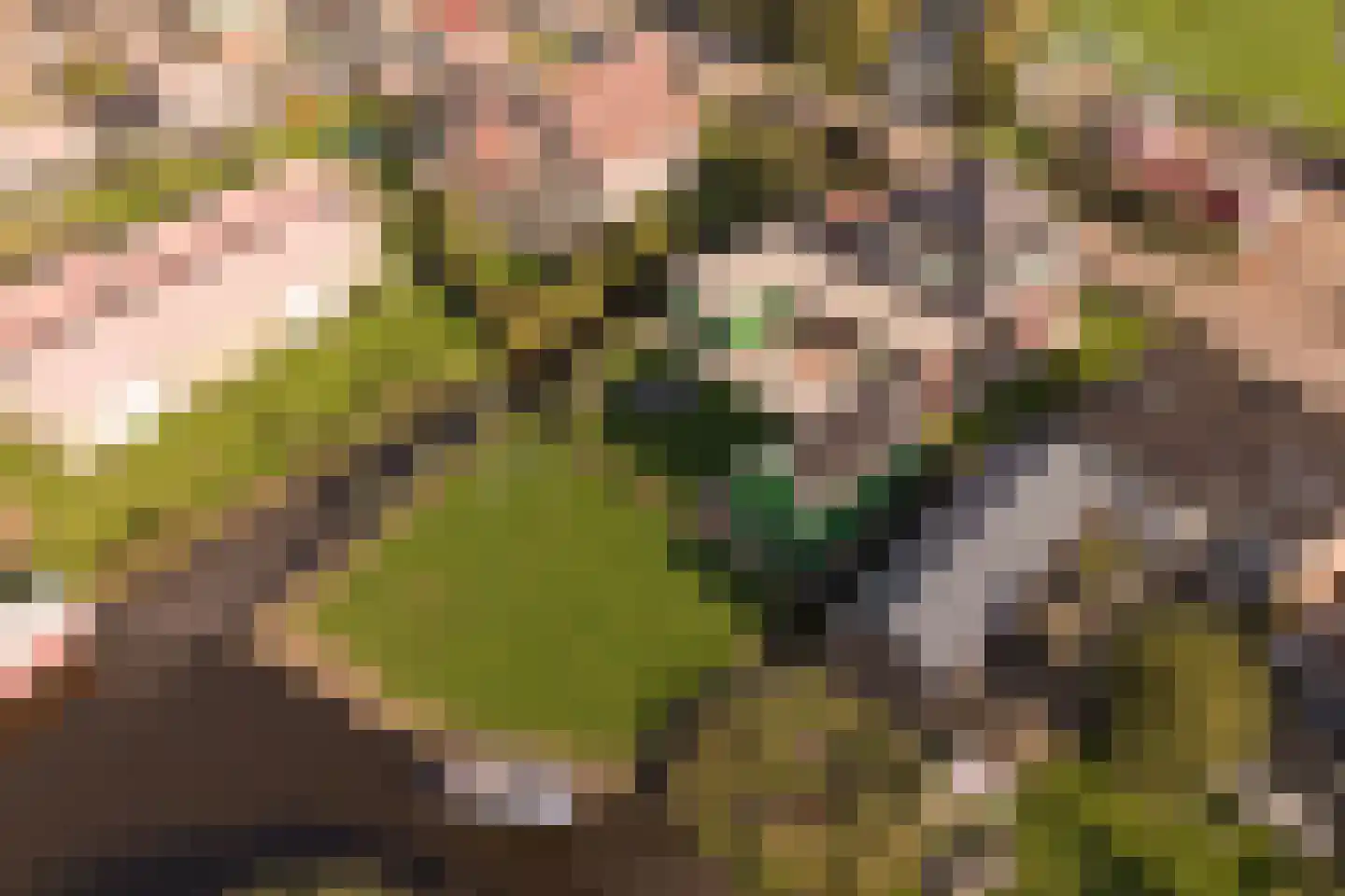 De Haal 73 Oostzaan thumbnail 60