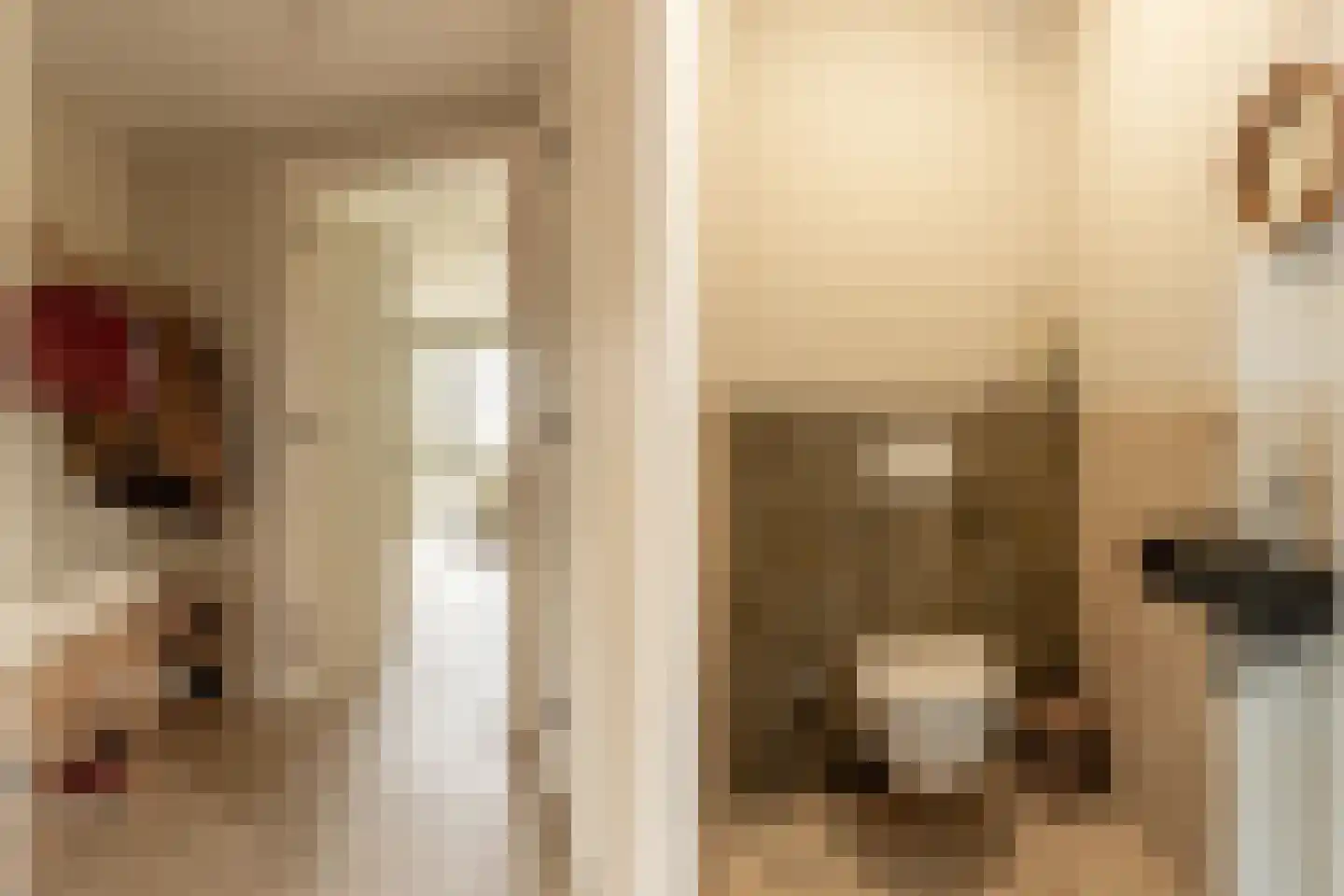 De Haal 73 Oostzaan thumbnail 9
