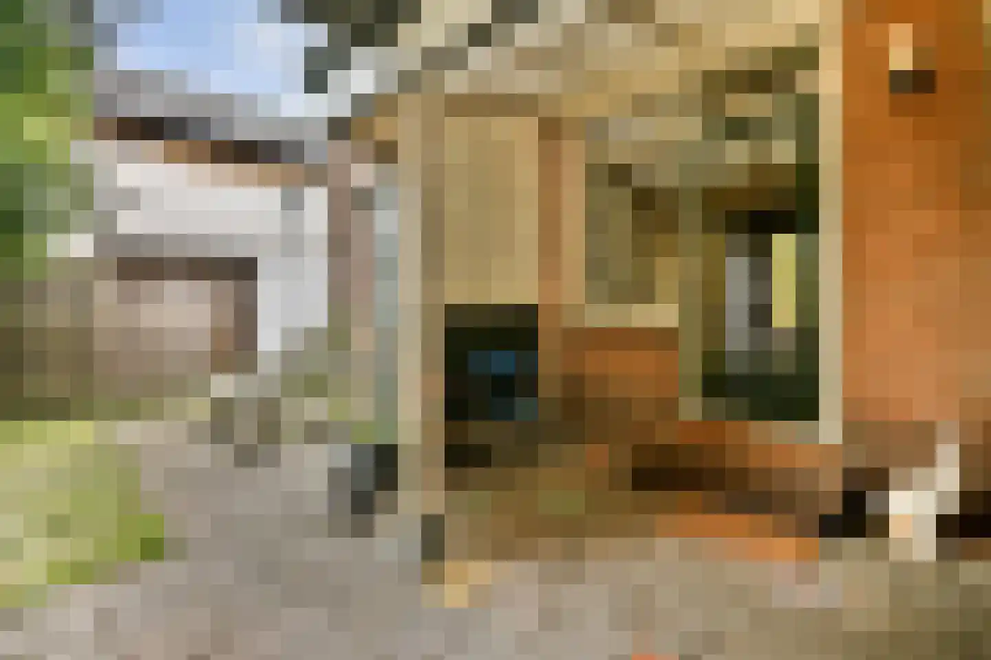 De Haal 82 a Oostzaan thumbnail 11