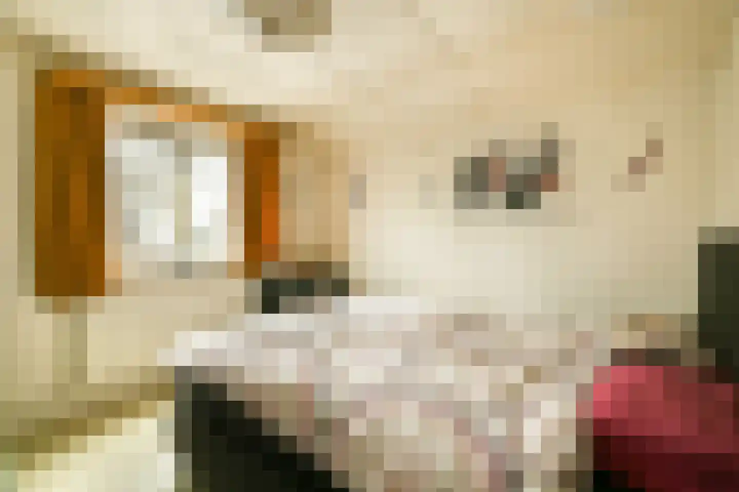 De Haal 82 a Oostzaan thumbnail 14