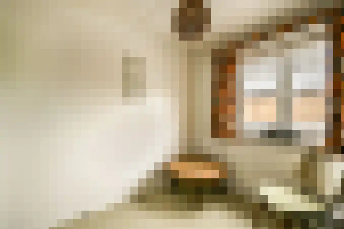 De Haal 82 a Oostzaan thumbnail 17