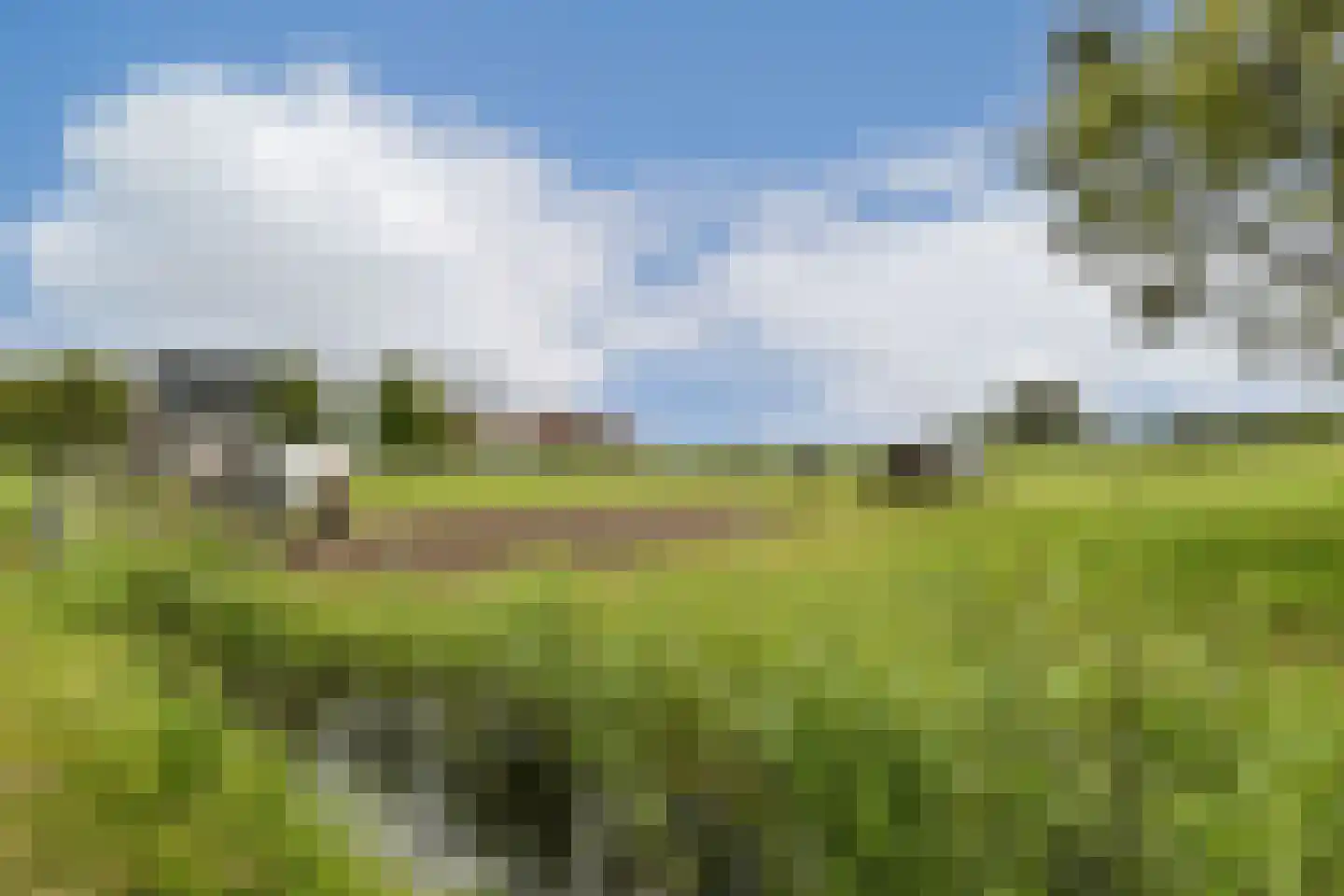 De Haal 82 a Oostzaan thumbnail 22