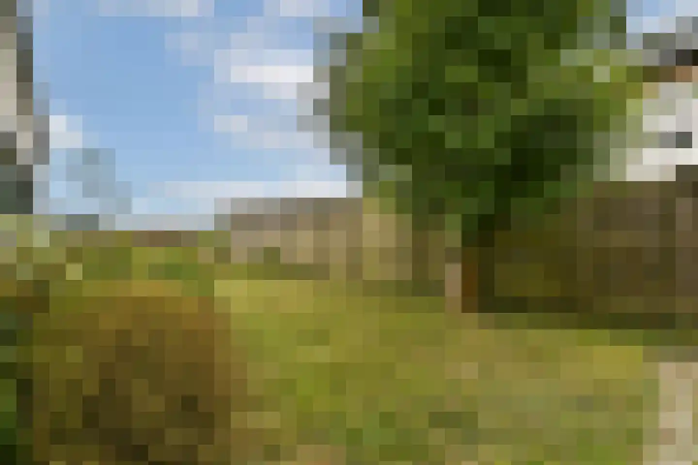 De Haal 82 a Oostzaan thumbnail 4