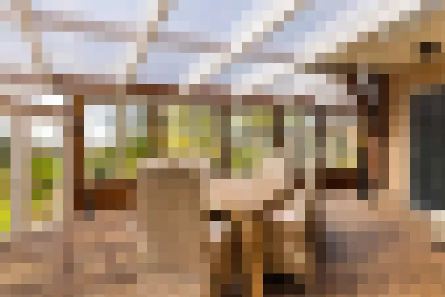 De Haal 85 Oostzaan thumbnail 27