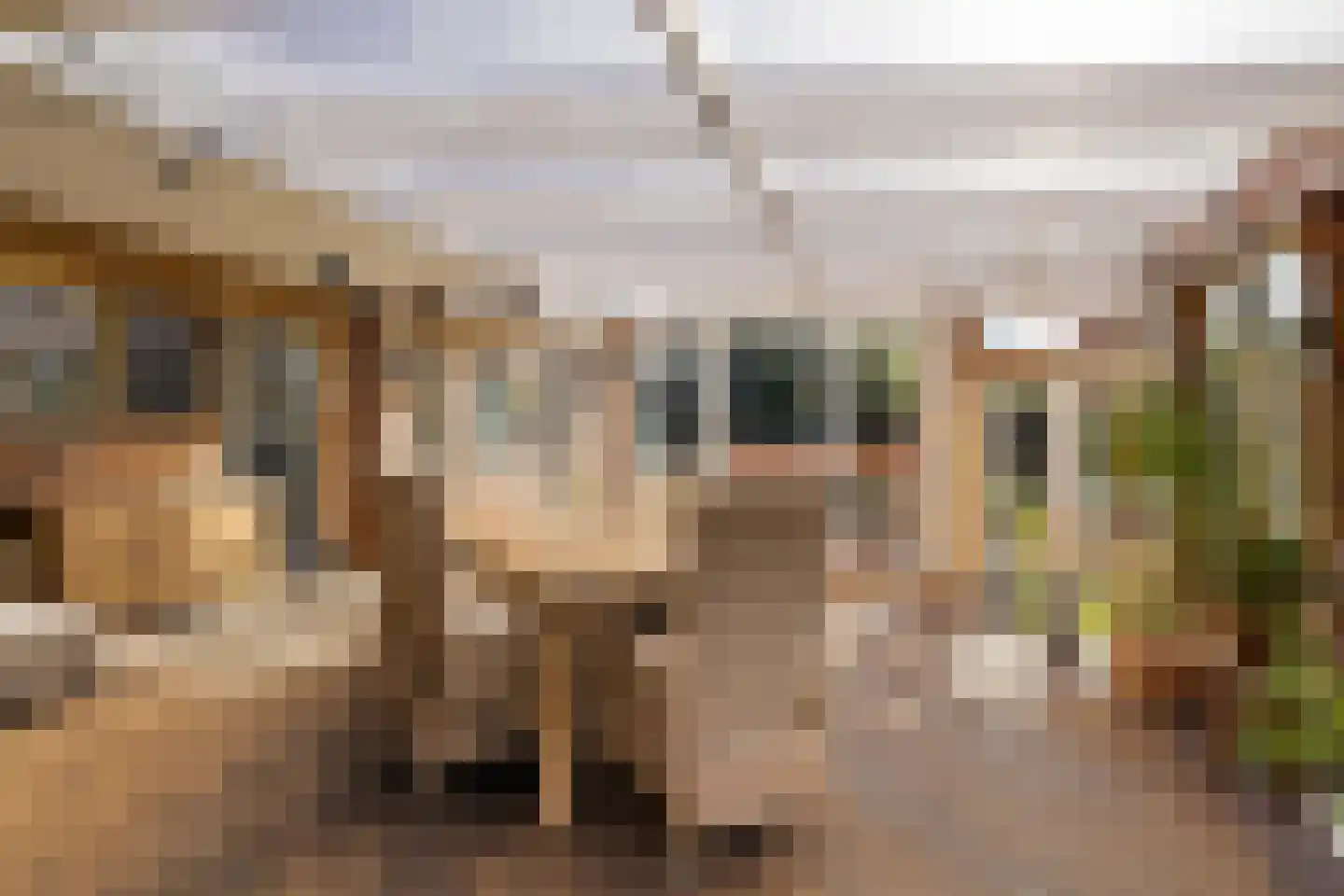 De Haal 85 Oostzaan thumbnail 29