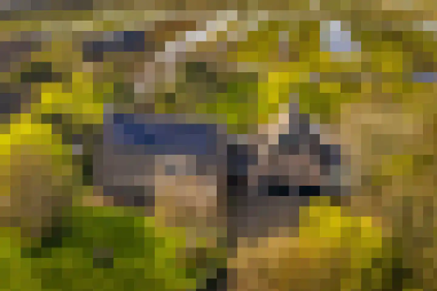 De Haal 85 Oostzaan thumbnail 4