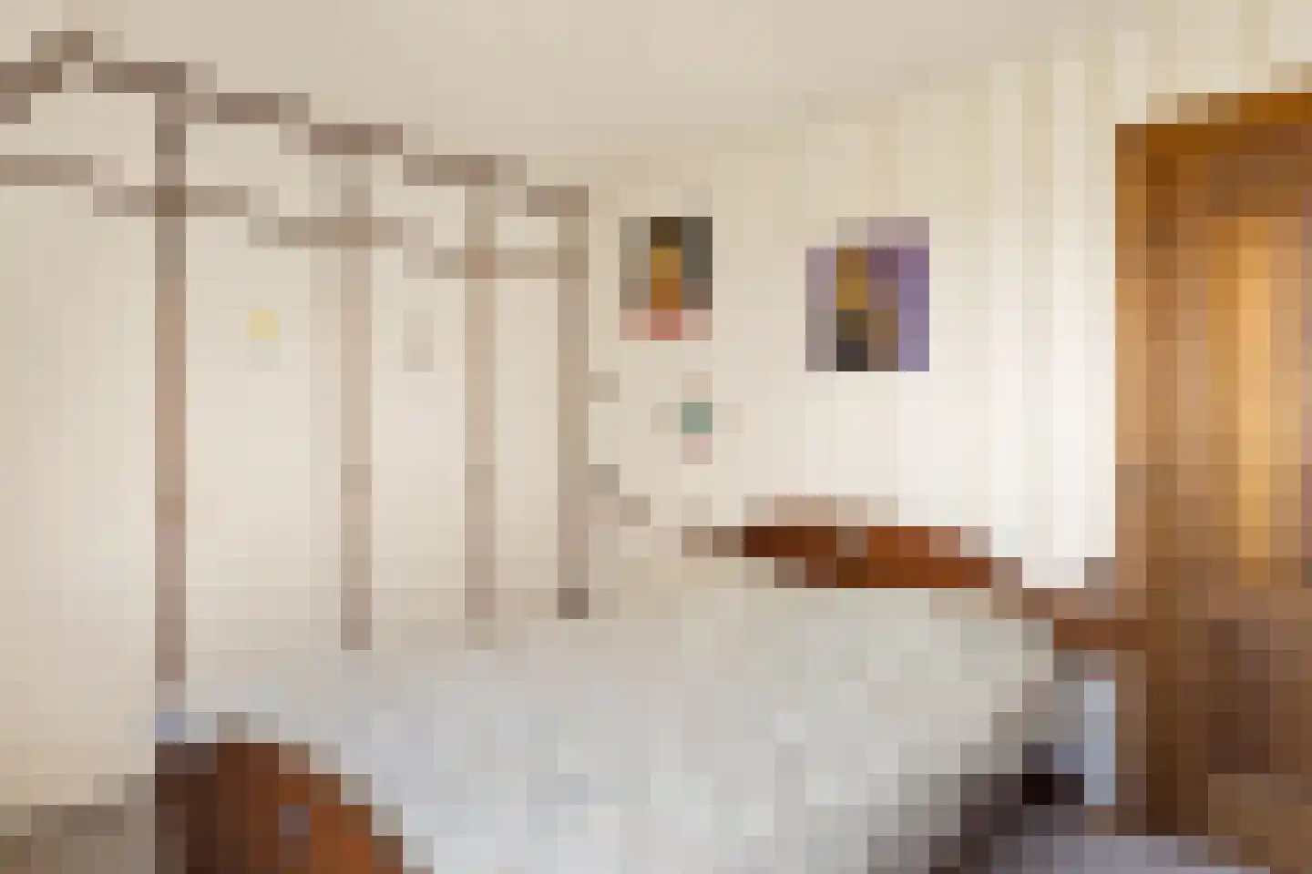 De Haal 85 Oostzaan thumbnail 46