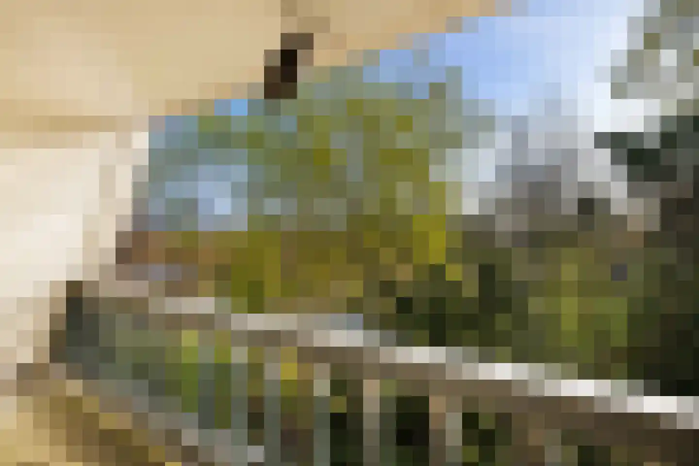 De Haal 85 Oostzaan thumbnail 51