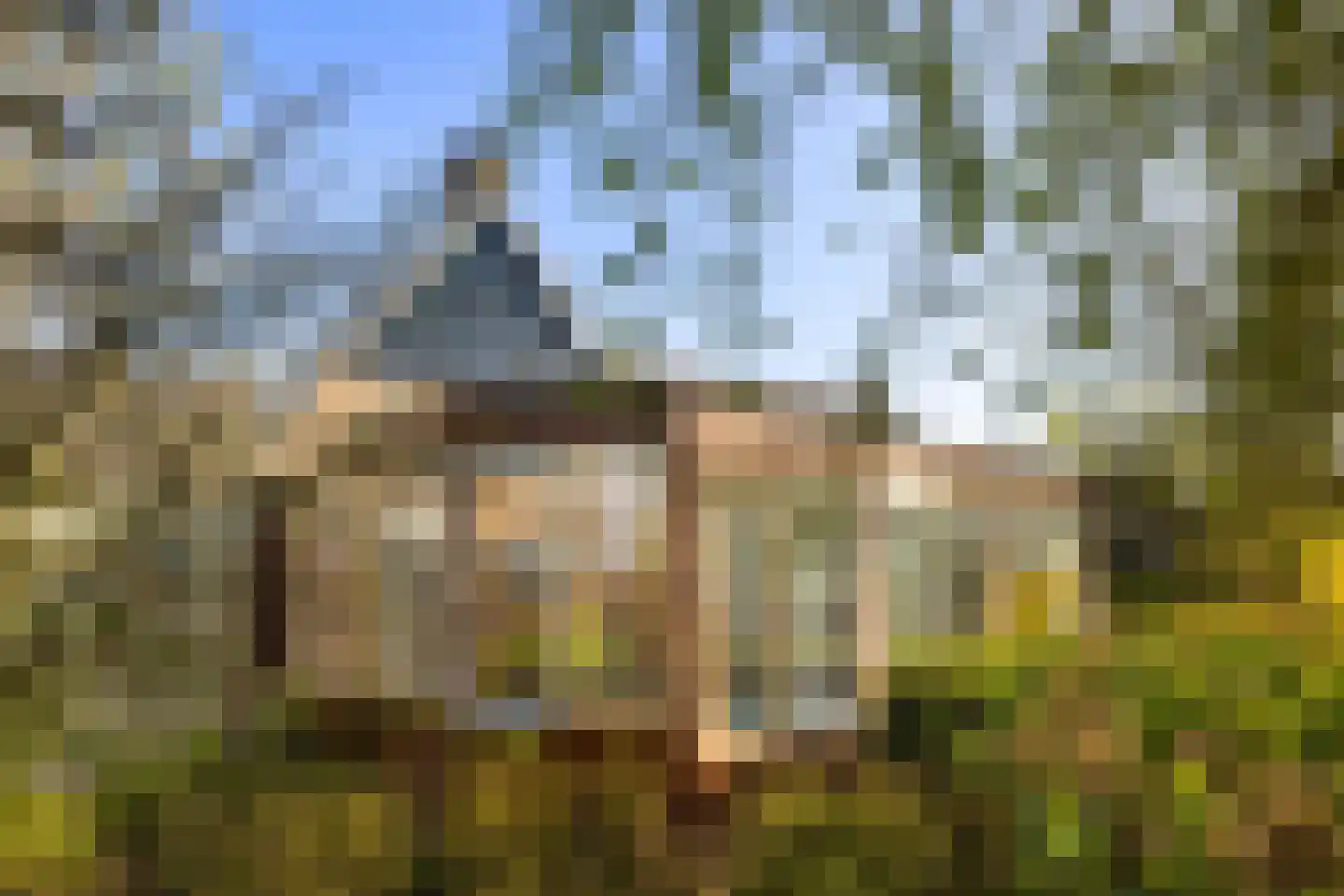 De Haal 85 Oostzaan thumbnail 80