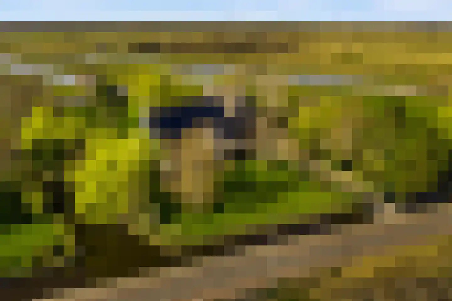 De Haal 85 Oostzaan thumbnail 88