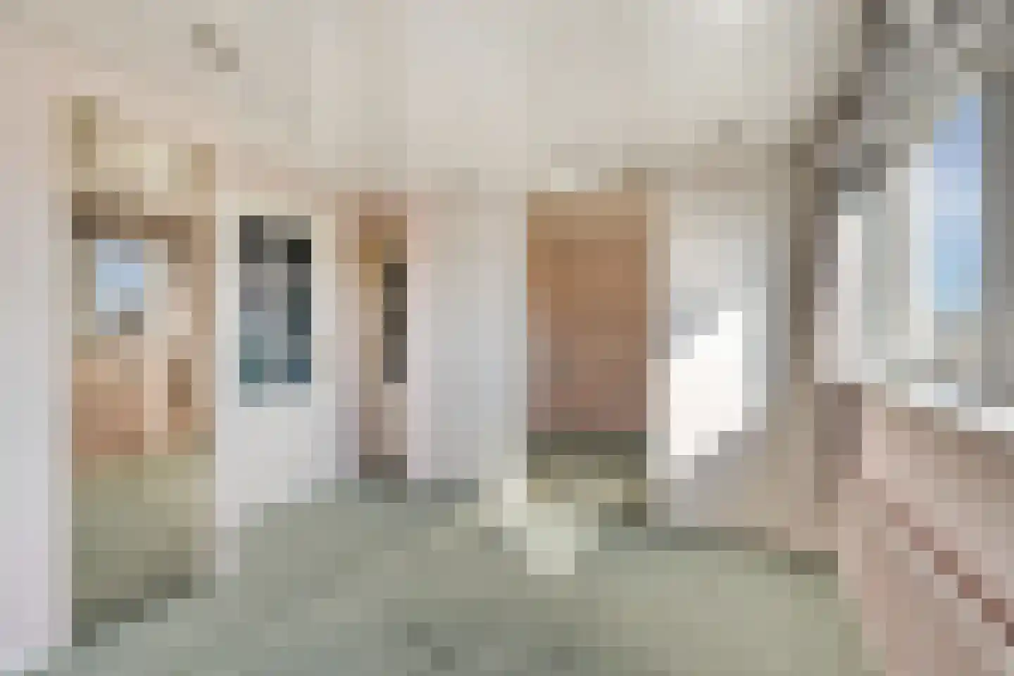 De Haal 90 Oostzaan thumbnail 25