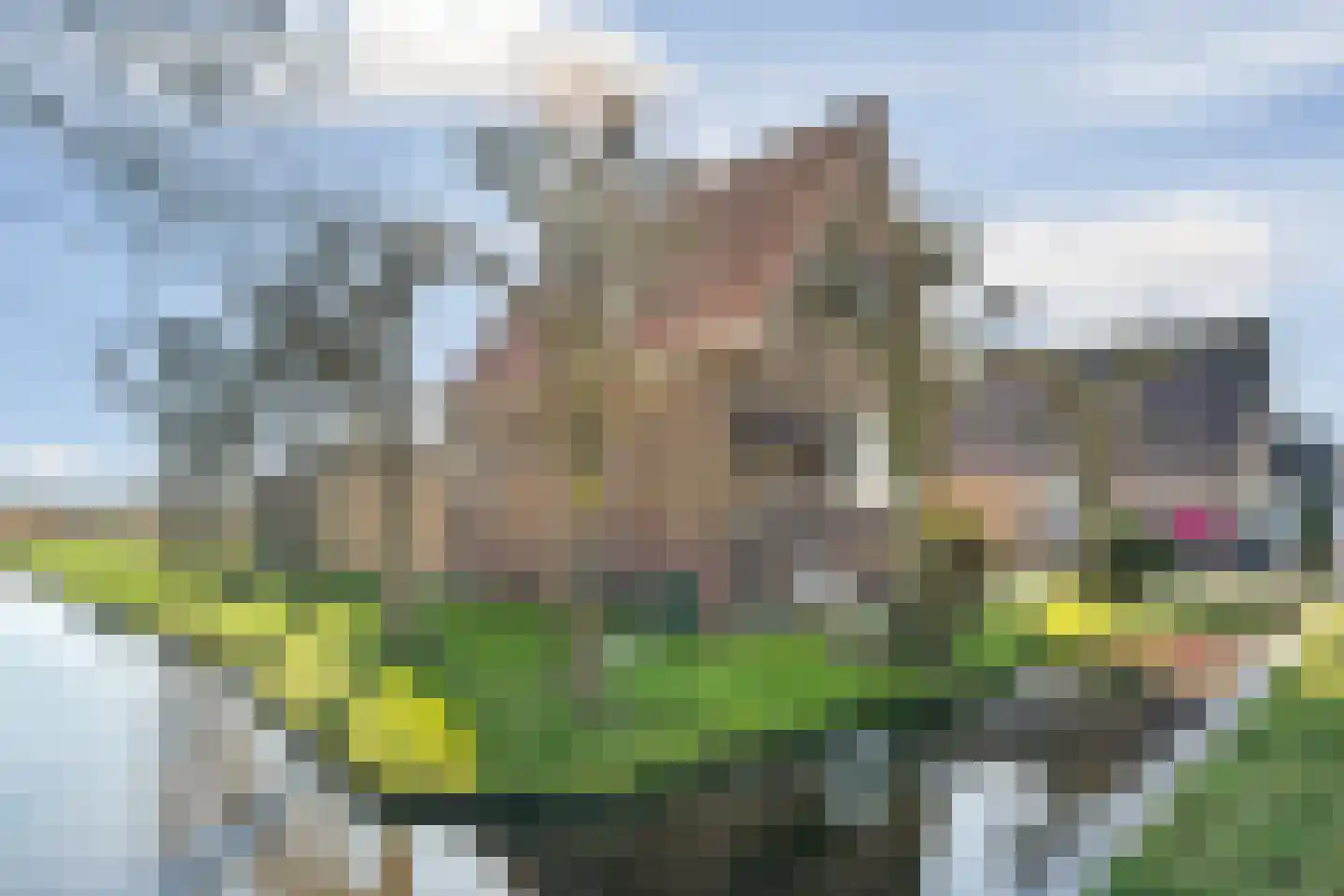 De Haal 90 Oostzaan thumbnail 47